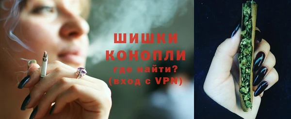кокс Вяземский