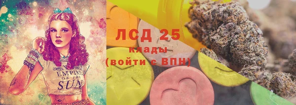 кокс Вяземский