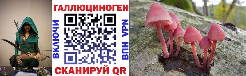 Купить  Верхний Уфалей  Псилоцибиновые грибы Psilocybine cubensis 