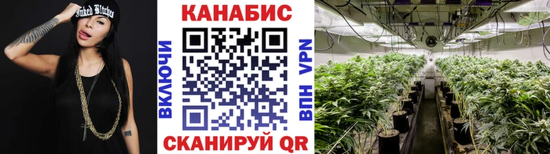 Купить где  Верхний Уфалей  Конопля индика 